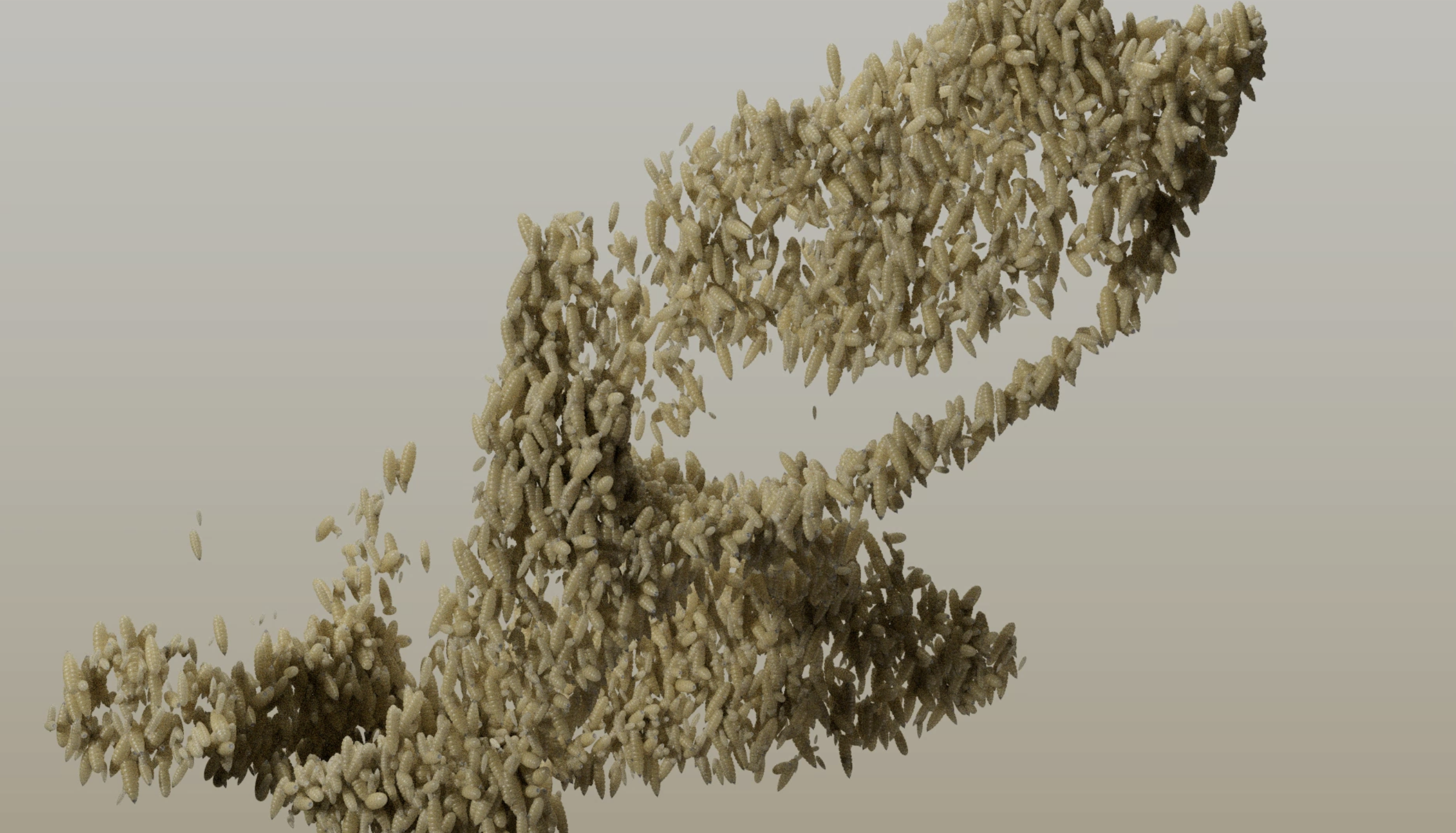 meta-morphose A-morphas | ViViViT
