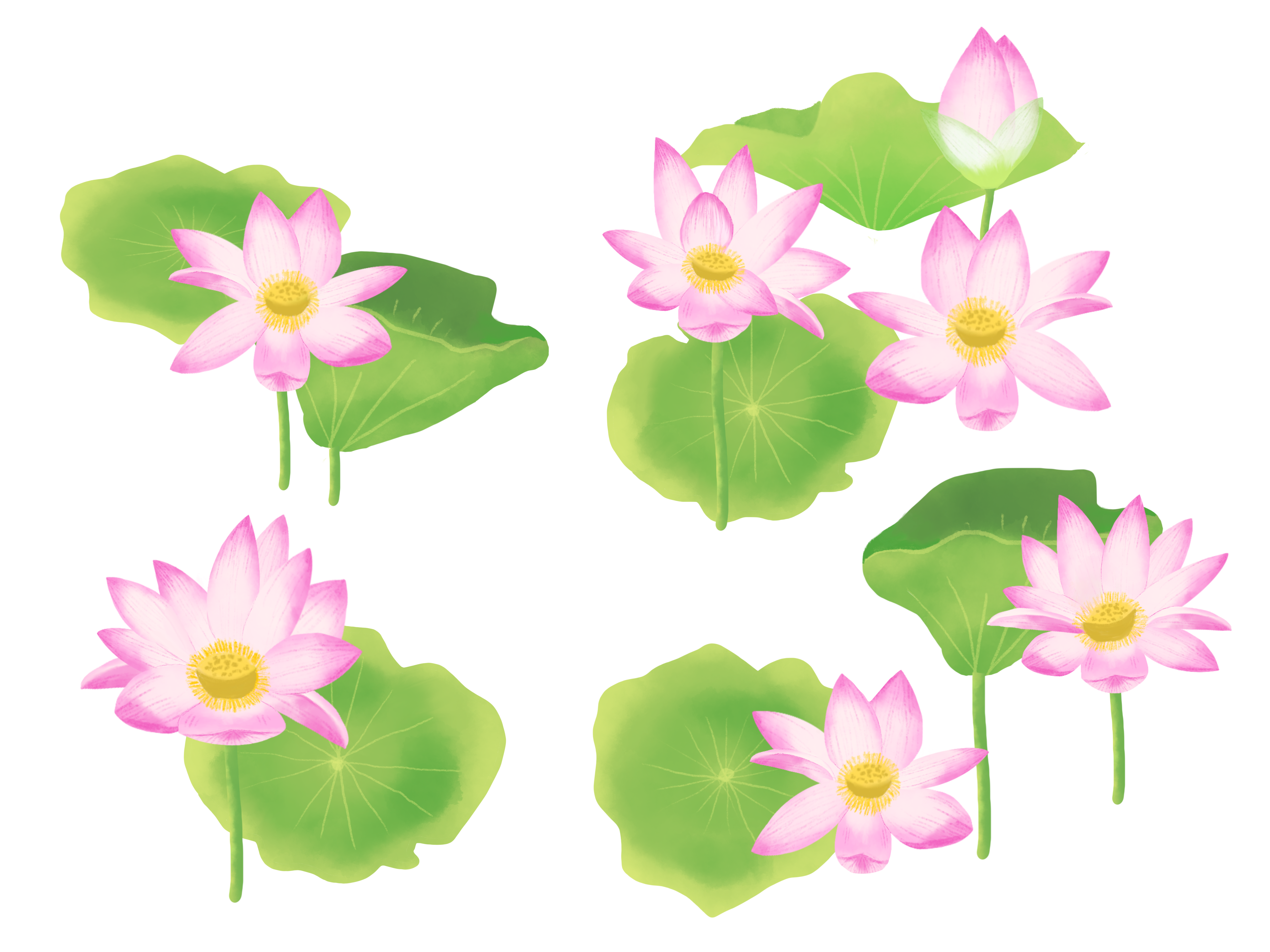花のイラスト | ViViViT